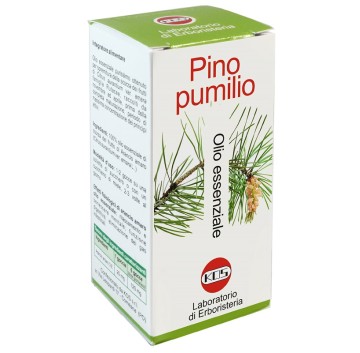 PINO PUMILIO OLIO ESS 20ML KOS