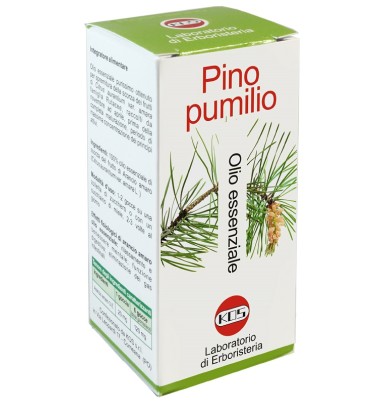 PINO PUMILIO OLIO ESS 20ML KOS