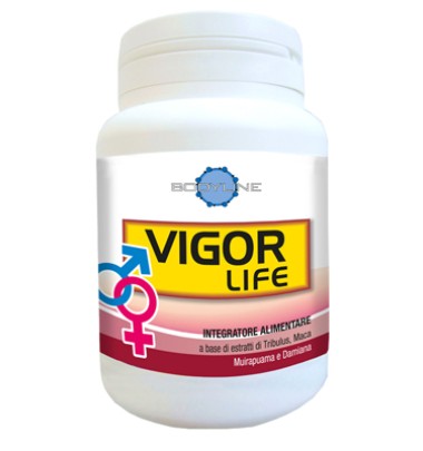 VIGOR LIFE 40CPS