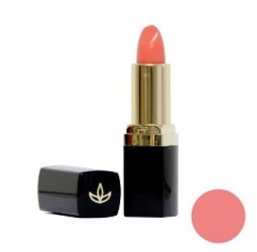 Euphidra Sc Rossetto Vol Pm01