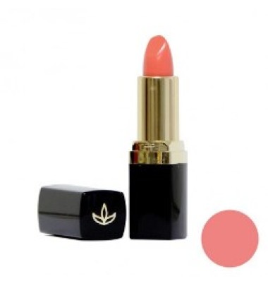 Euphidra Sc Rossetto Vol Pm01