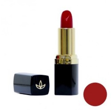 Euphidra Sc Rossetto Vol Pm03