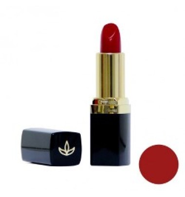 Euphidra Sc Rossetto Vol Pm03