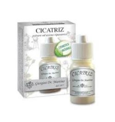 CICATRIZ POLV 10G