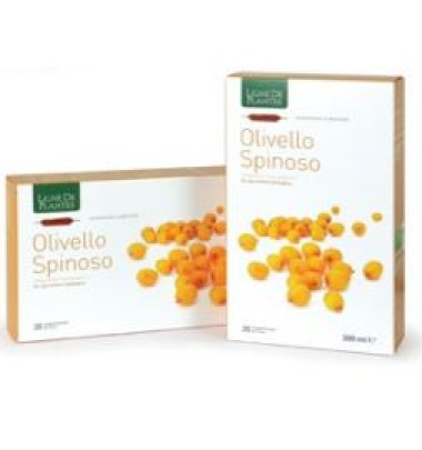 OLIVELLO SPINOSO BIO 20AB