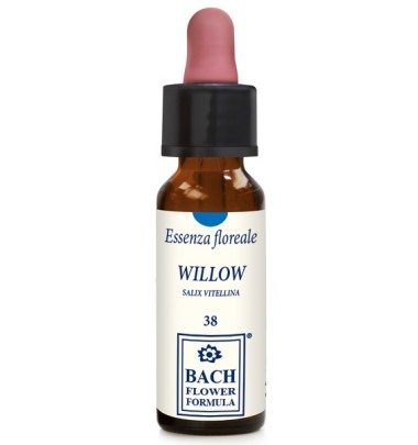 WILLOW ORIGINAL 10ML GTT