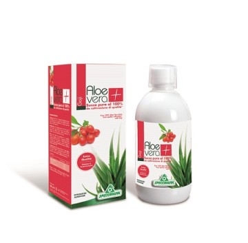 SUCCO ALOEVERA+ GOJI 1000ML SPEC