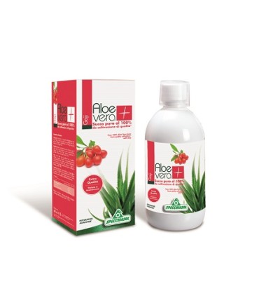 SUCCO ALOEVERA+ GOJI 1000ML SPEC