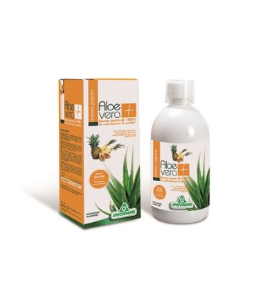 SUCCO ALOEVERA+ ANAN/PAP1000ML