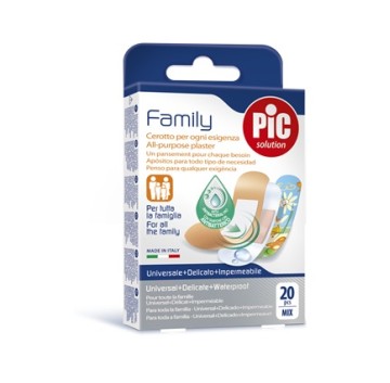 CER PIC FAMILY MIX 20PZ