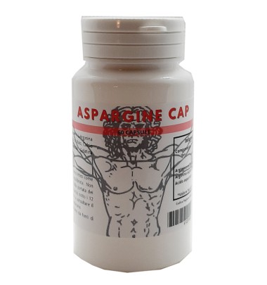ASPARGINE-CAP 60CPS