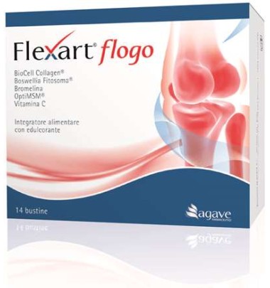 FLEXART FLOGO 14BUST