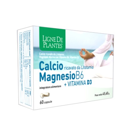 CALCIO MAGNESIO B6+VITD3 60CPS