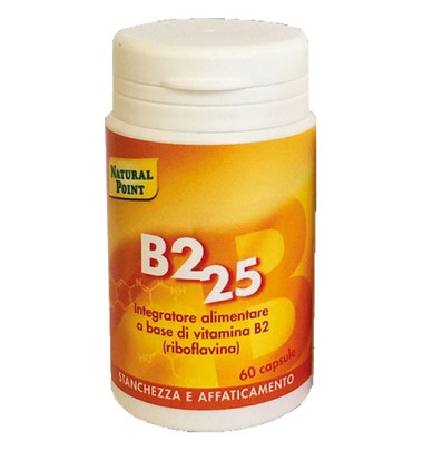 B2 25 60cps