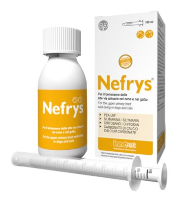 NEFRYS NEW 100 100ML C/SIR DOS