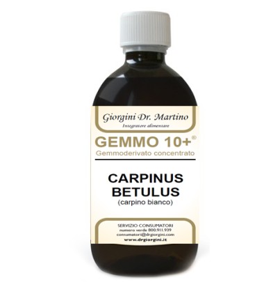 CARPINO Gemmo 10+ Analc.500ml