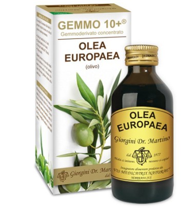 OLIVO 100ML ANALCO GEMMO 10+