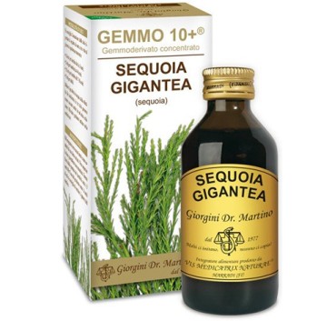 SEQUOIA 100ML ANALCO GEMMO 10+