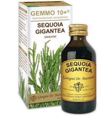 SEQUOIA 100ML ANALCO GEMMO 10+