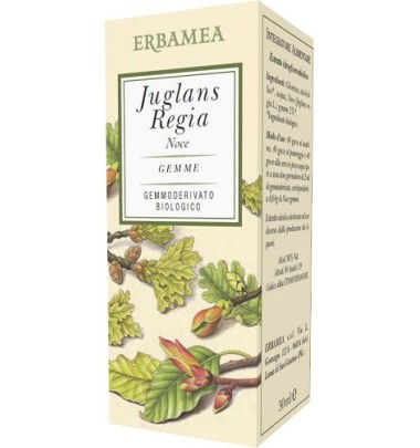 JUGLANS REGIA NOCE BIO 50ML