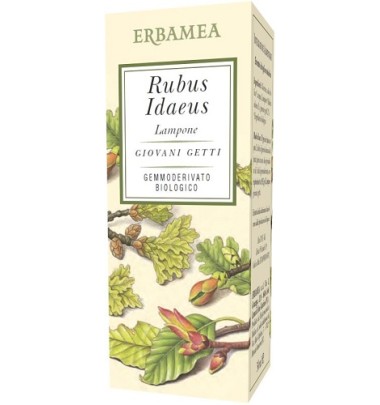 RUBUS IDAEUS LAMPONE 50ML