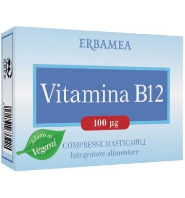 VITAMINA B12 90CPR MASTIC ERBAM