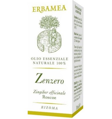 ZENZERO 10ML