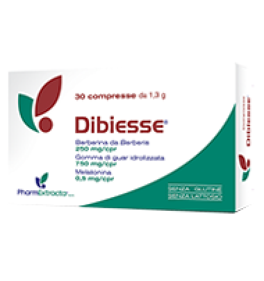 DIBIESSE 30CPR