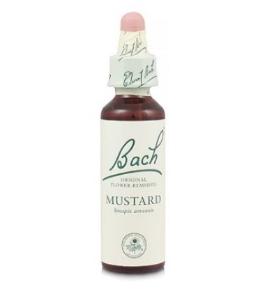 BACH MUSTARD ORIG 10ML LOACK