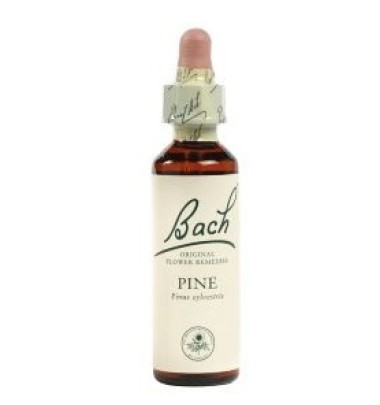 BACH PINE ORIG 10ML LOACK