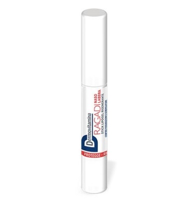 DERMOVITAMINA RAGADI NAS/L STICK