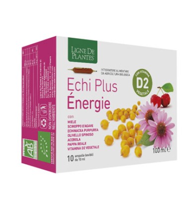 ECHI PLUS ENERGIE 10AMP 10ML