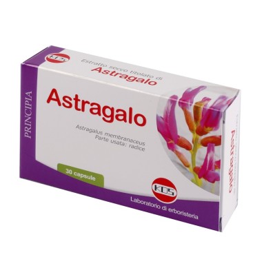 ASTRAGALO ES 70% 500MG 30CPS