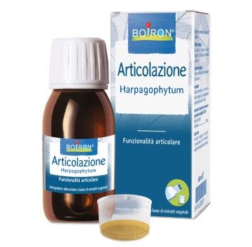 HARPAGOPHYTUM EI 60ML INT BO