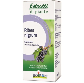 RIBES NIGRUM MG 60ML INT BO