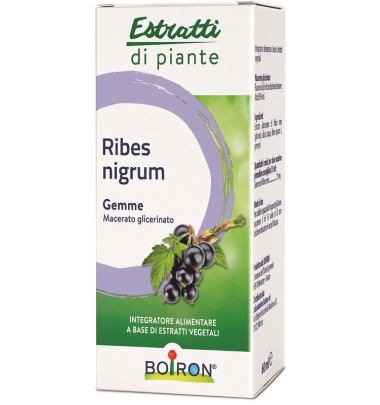 RIBES NIGRUM MG 60ML INT BO