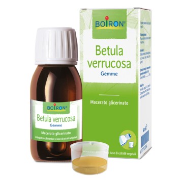 BETULA VERRUCO MG 60ML INT BO