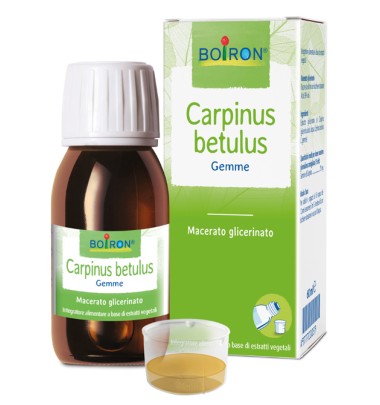 CARPINUS BETULUS MG 60ML INT BO