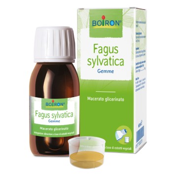 FAGUS SYLVATICA MG 60ML INT