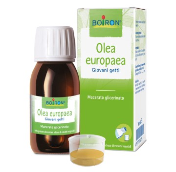 OLEA EUROPAEA MG 60ML INT BO