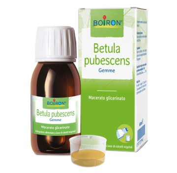 BETULA PUBESCENS MG 60ML INT BO