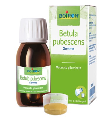 BETULA PUBESCENS MG 60ML INT BO