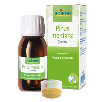 PINUS MONTANA MG 60ML INT BO