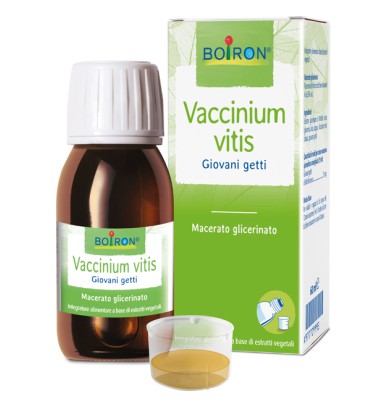 VACCINIUM VITIS MG 60ML INT BO