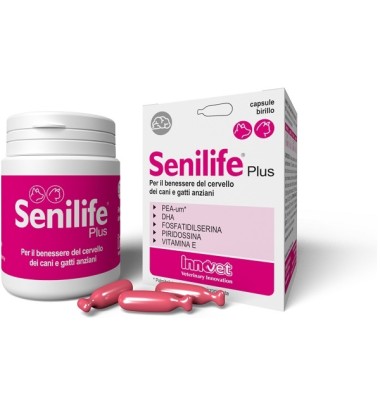 SENILIFE PLUS 60CPS