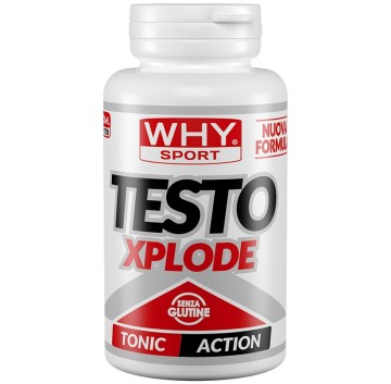 WHYSPORT TESTO XPLODE 90CPR NF