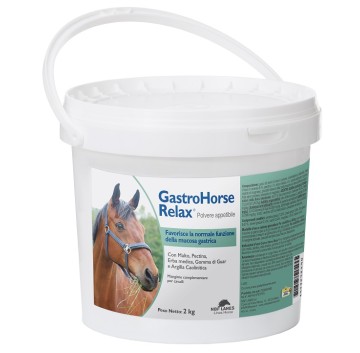 GASTRO HORSE RELAX POLV APP 2