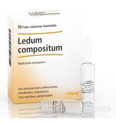 Ledum Comp 10f 2,2ml Heel
