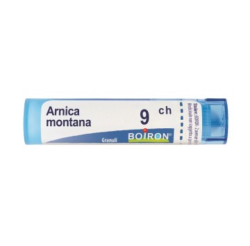 ARNICA MONTANA 9CH GR BO