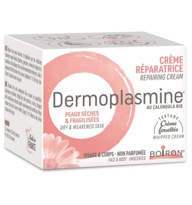 DERMOPLASMINE CR MOUSSE 20G